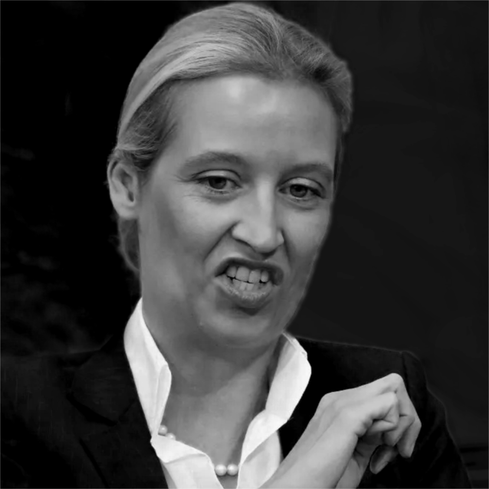 Alice Weidel